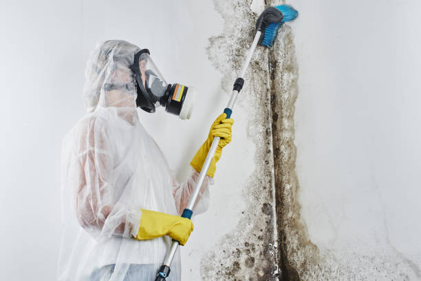 Best Mold Testing  in Hershey, PA