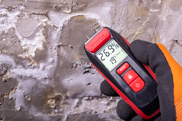 Best Fast Mold Removal  in Hershey, PA