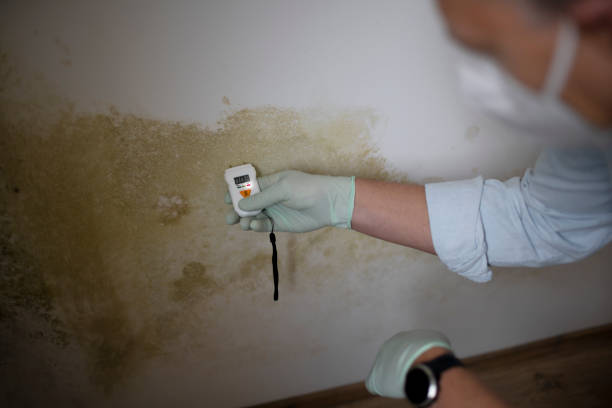 Mold Testing and Removal in Hershey, PA