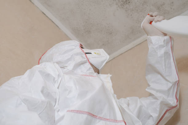 Best Best Mold Removal Companies  in Hershey, PA